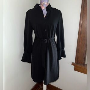Lark & Ro Black Long Sleeve Dress
